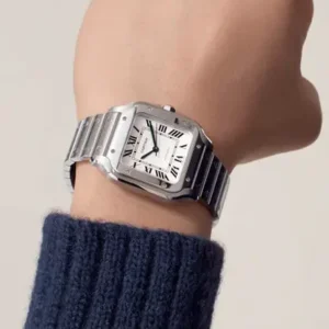 rolex gmt master ii oystersteel 116710ln (copy)